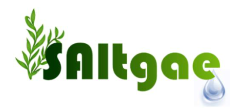 Saltgae Logo
