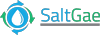 SaltGae project